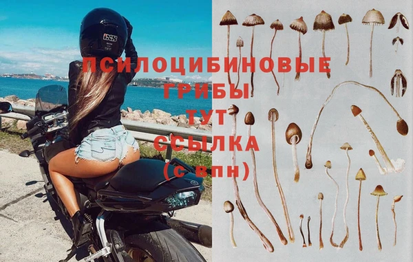 стаф Лабытнанги