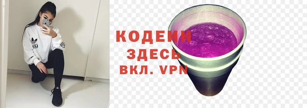 стаф Лабытнанги