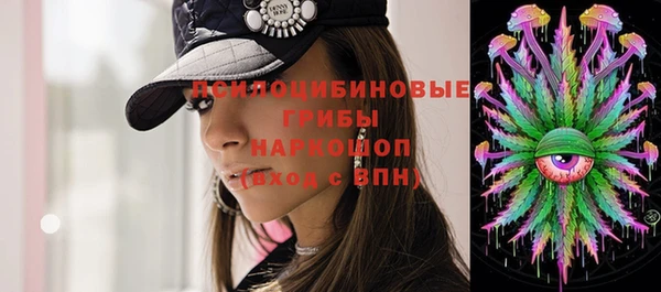 стаф Лабытнанги