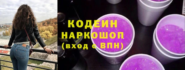 стаф Лабытнанги